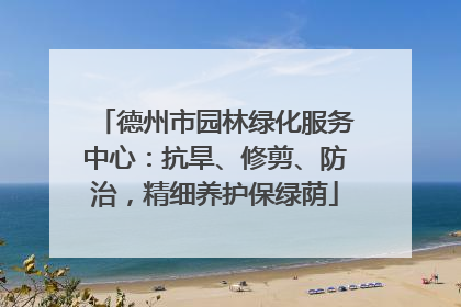德州市园林绿化服务中心：抗旱、修剪、防治，精细养护保绿荫
