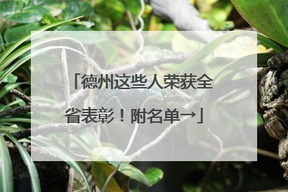 德州这些人荣获全省表彰！附名单→
