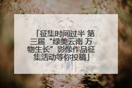 征集时间过半 第三届“绿美云南 万物生长”影像作品征集活动等你投稿