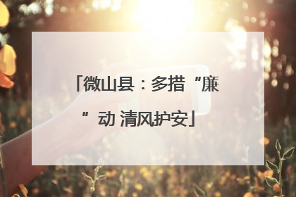 微山县：多措“廉”动 清风护安
