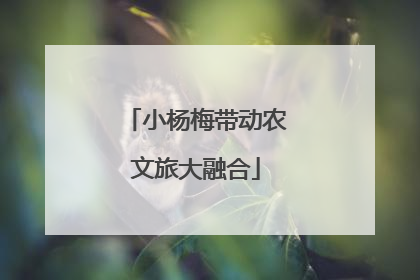 小杨梅带动农文旅大融合