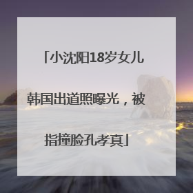小沈阳18岁女儿韩国出道照曝光，被指撞脸孔孝真