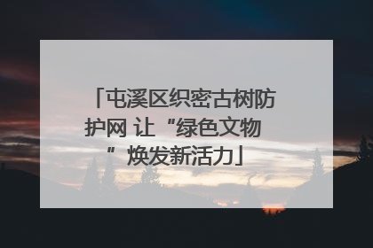 屯溪区织密古树防护网 让“绿色文物”焕发新活力