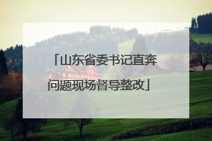 山东省委书记直奔问题现场督导整改