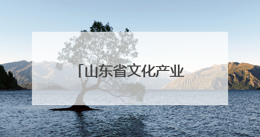 山东省文化产业发展协会赴山东文化产业职业学院开展考察交流活动