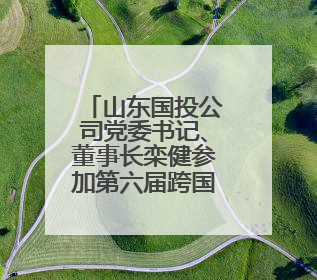 山东国投公司党委书记、董事长栾健参加第六届跨国公司领导人青岛峰会“人才引领 创新驱动”人力资源高质量发展对话会