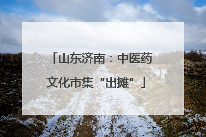 山东济南：中医药文化市集“出摊”