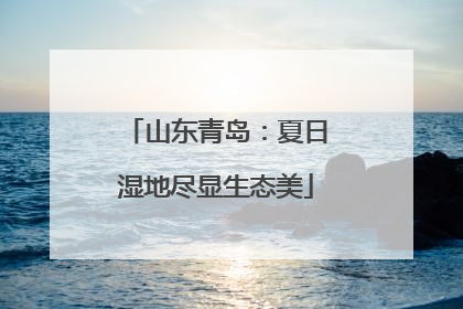 山东青岛：夏日湿地尽显生态美