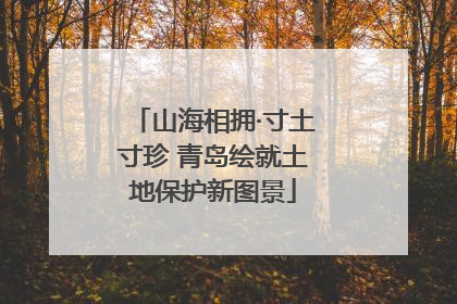 山海相拥·寸土寸珍 青岛绘就土地保护新图景