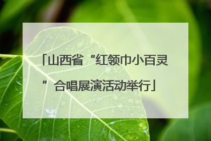山西省“红领巾小百灵”合唱展演活动举行