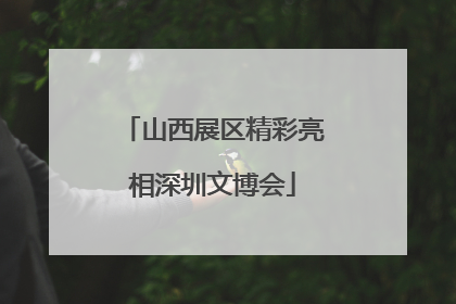 山西展区精彩亮相深圳文博会