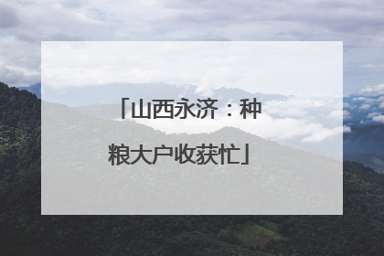 山西永济：种粮大户收获忙