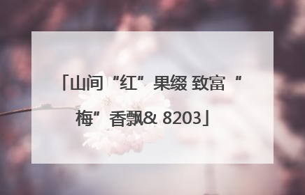 山间“红”果缀 致富“梅”香飘& 8203