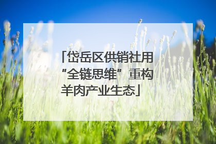 岱岳区供销社用“全链思维”重构羊肉产业生态