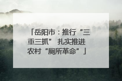 岳阳市：推行“三重三抓” 扎实推进农村“厕所革命”