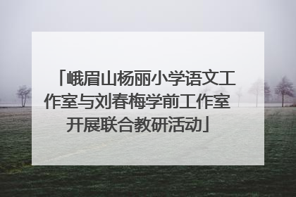 峨眉山杨丽小学语文工作室与刘春梅学前工作室开展联合教研活动