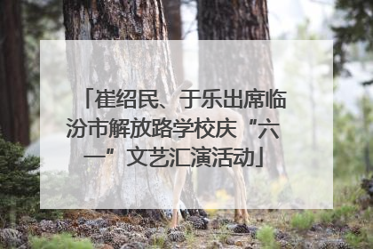 崔绍民、于乐出席临汾市解放路学校庆“六一”文艺汇演活动