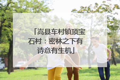 嵩县车村镇顶宝石村：密林之下有诗意有生机