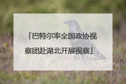 巴特尔率全国政协视察团赴湖北开展视察