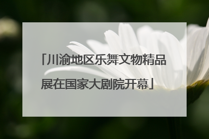 川渝地区乐舞文物精品展在国家大剧院开幕