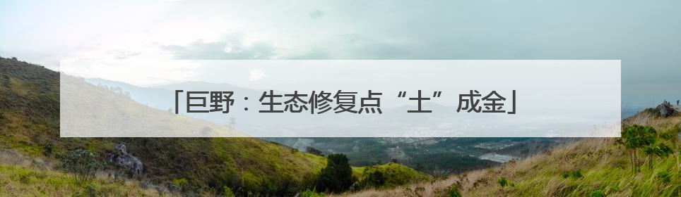 巨野：生态修复点“土”成金