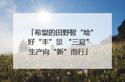 希望的田野智“绘”好“丰”景 “三夏”生产向“新”而行