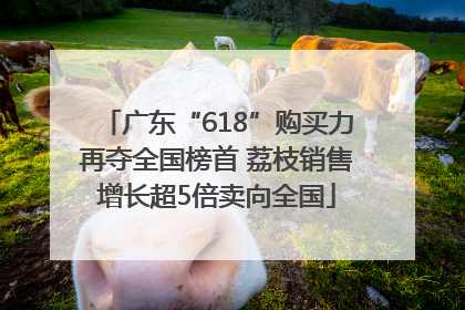 广东“618”购买力再夺全国榜首 荔枝销售增长超5倍卖向全国