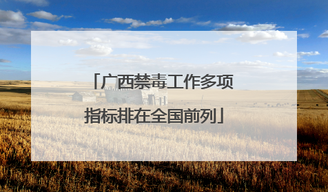 广西禁毒工作多项指标排在全国前列