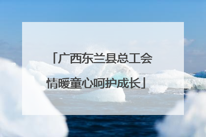 广西东兰县总工会情暖童心呵护成长