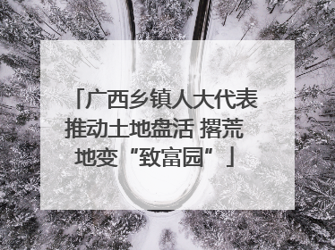 广西乡镇人大代表推动土地盘活 撂荒地变“致富园”