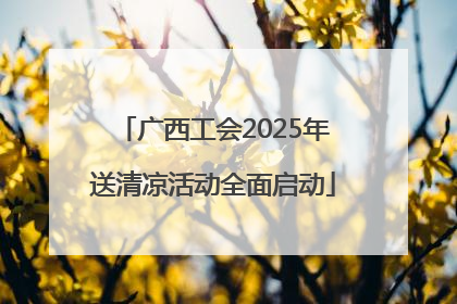 广西工会2025年送清凉活动全面启动