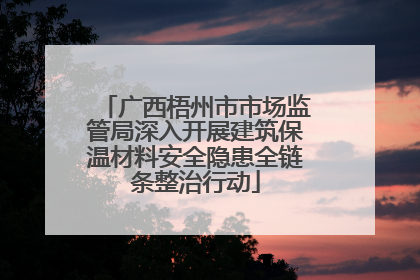 广西梧州市市场监管局深入开展建筑保温材料安全隐患全链条整治行动