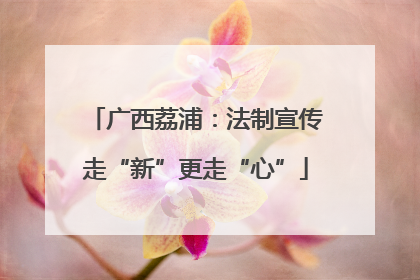 广西荔浦：法制宣传走“新”更走“心”
