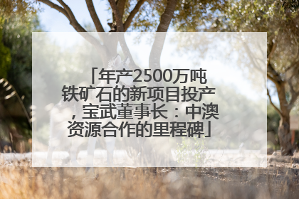 年产2500万吨铁矿石的新项目投产，宝武董事长：中澳资源合作的里程碑