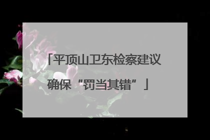 平顶山卫东检察建议确保“罚当其错”