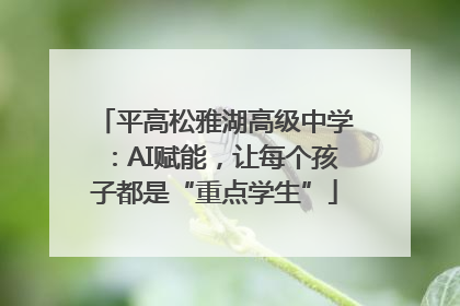 平高松雅湖高级中学：AI赋能，让每个孩子都是“重点学生”