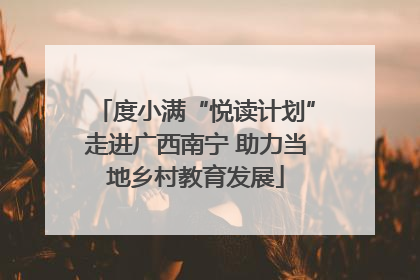 度小满“悦读计划”走进广西南宁 助力当地乡村教育发展