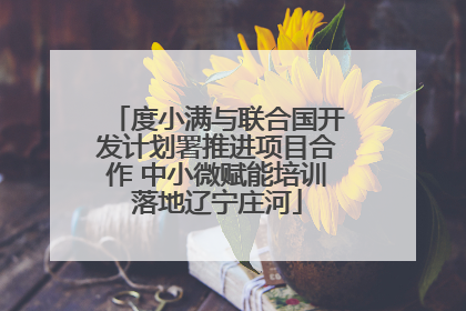 度小满与联合国开发计划署推进项目合作 中小微赋能培训落地辽宁庄河