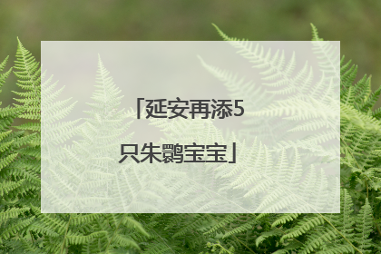 延安再添5只朱鹮宝宝