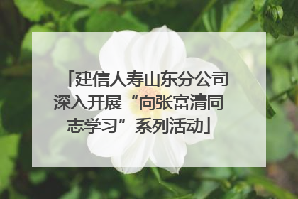 建信人寿山东分公司深入开展“向张富清同志学习”系列活动