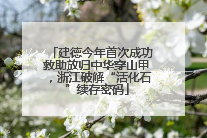 建德今年首次成功救助放归中华穿山甲，浙江破解“活化石”续存密码