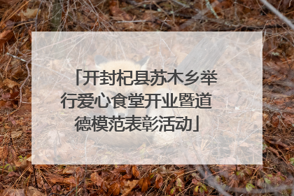 开封杞县苏木乡举行爱心食堂开业暨道德模范表彰活动