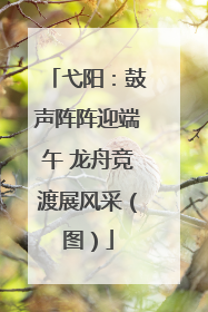 弋阳：鼓声阵阵迎端午 龙舟竞渡展风采（图）