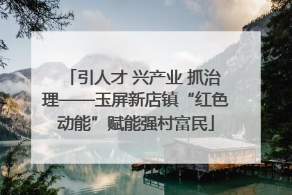 引人才 兴产业 抓治理——玉屏新店镇“红色动能”赋能强村富民