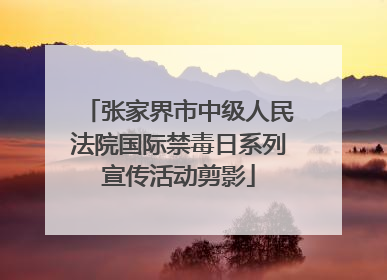 张家界市中级人民法院国际禁毒日系列宣传活动剪影