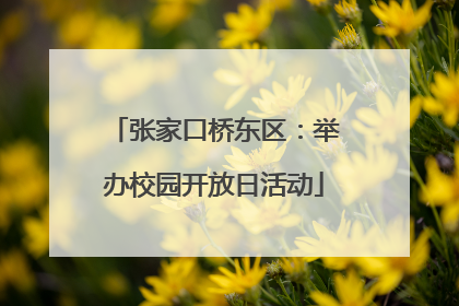 张家口桥东区：举办校园开放日活动