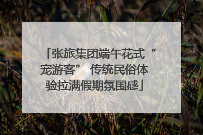 张旅集团端午花式“宠游客” 传统民俗体验拉满假期氛围感