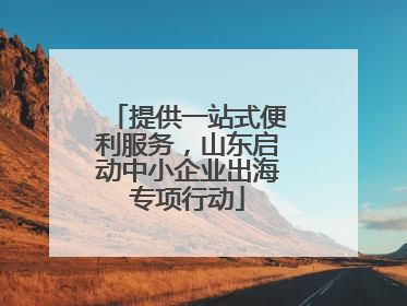 提供一站式便利服务，山东启动中小企业出海专项行动