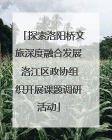 探索洛阳桥文旅深度融合发展 洛江区政协组织开展课题调研活动