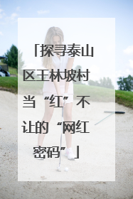 探寻泰山区王林坡村当“红”不让的“网红密码”